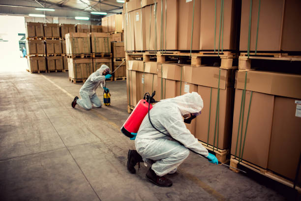 Best Exterminator Services  in Crosby, ND