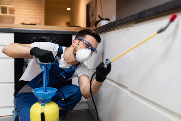 Best Cockroach Control Services  in Crosby, ND