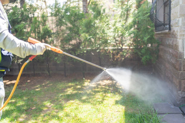 Best Mosquito Control Services  in Crosby, ND