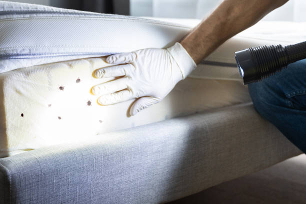 Best Pest Removal Services  in Crosby, ND