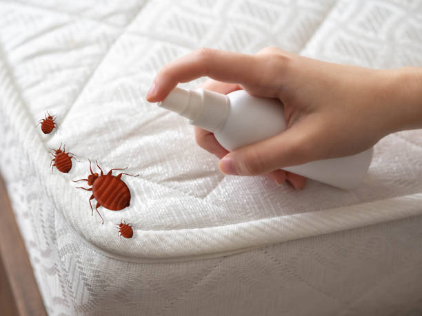 Best Exterminator Services  in Crosby, ND